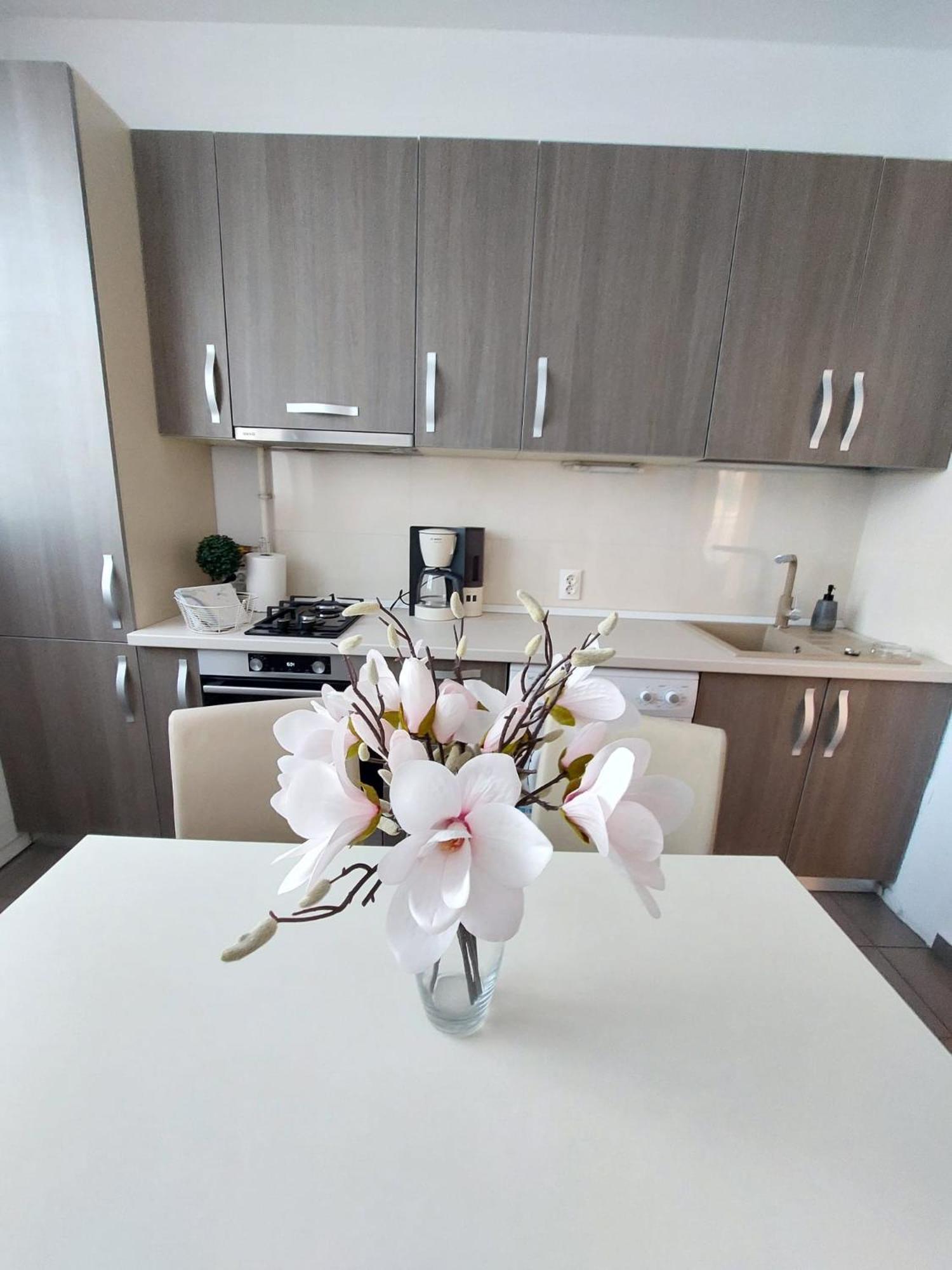 Sweet Residence Apartment Arad Exteriör bild